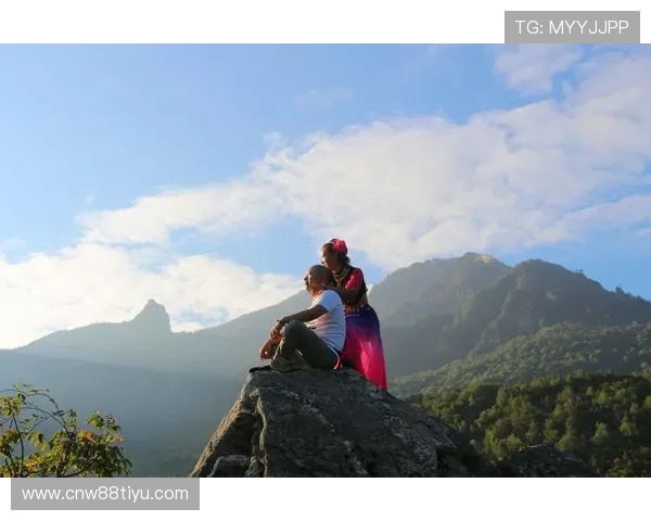 满冠网址登录线路常见问题及解决方案,帮助玩家快速排查登录障碍